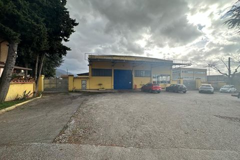 Erhvervsejendom i Massa, Massa and Carrara, Massa - € 1.600.000 | Ref: 3309 - foto 7