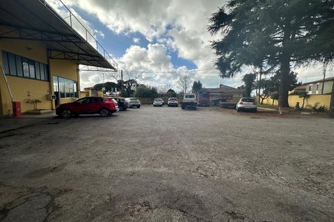 Erhvervsejendom i Massa, Massa and Carrara, Massa - € 1.600.000 | Ref: 3309 - foto 8