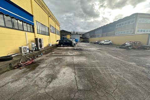 Erhvervsejendom i Massa, Massa and Carrara, Massa - € 1.600.000 | Ref: 3309 - foto 9