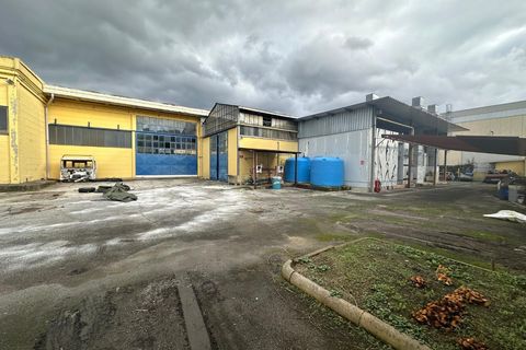 Erhvervsejendom i Massa, Massa and Carrara, Massa - € 1.600.000 | Ref: 3309 - foto 14