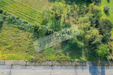 Helårsgrund i Coimbra, Coimbra, Coimbra - € 59.900 | Ref: CBRNT 5421 - foto 4