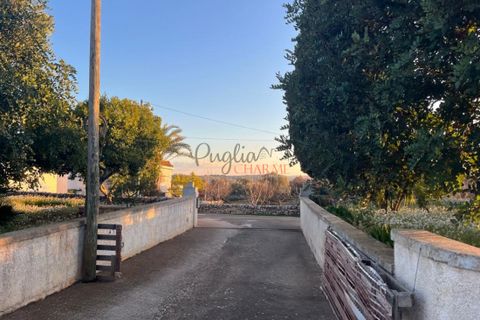 Landejendom i Ostuni, Brindisi, Ostuni - € 395.000 | Ref: 261 - foto 8