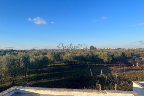 Landejendom i Ostuni, Brindisi, Ostuni - € 395.000 | Ref: 261 - foto 9