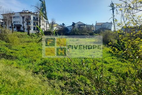 Helårsgrund i Lousa, Coimbra, Lousa - € 65.000 | Ref: SÒL_146 - foto 7