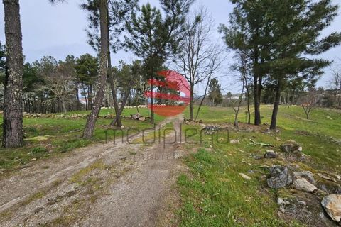 Herregård i Sernancelhe, Viseu, Sernancelhe - € 45 000 | Ref: 1723 - foto 8