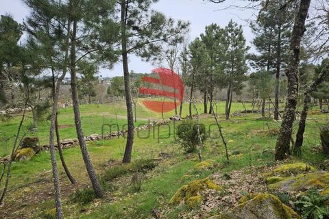 Herregård i Sernancelhe, Viseu, Sernancelhe - € 45 000 | Ref: 1723 - foto 9