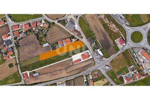 Helårsgrund i Ovar, Aveiro, Ovar - € 55.000 | Ref: UNU.I.1131.20562 - foto 6