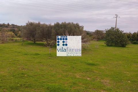Helårsgrund i Faro, Faro, Faro - € 59.000 | Ref: TER4994 - foto 2