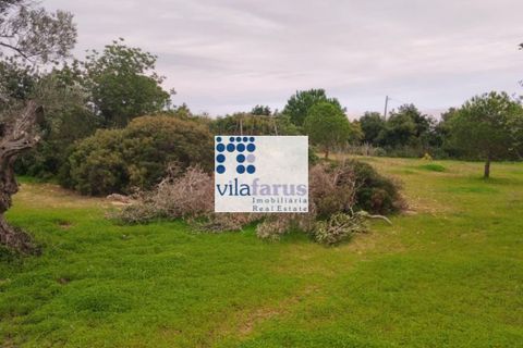 Helårsgrund i Faro, Faro, Faro - € 59.000 | Ref: TER4994 - foto 3