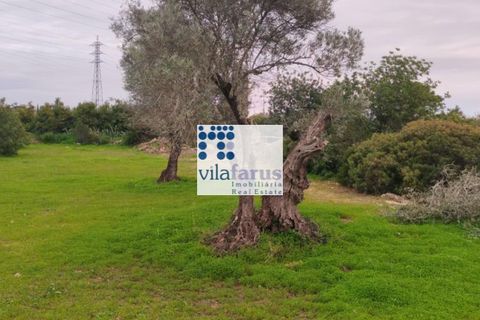 Helårsgrund i Faro, Faro, Faro - € 59.000 | Ref: TER4994 - foto 4