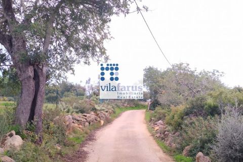 Helårsgrund i Faro, Faro, Faro - € 59.000 | Ref: TER4994 - foto 7