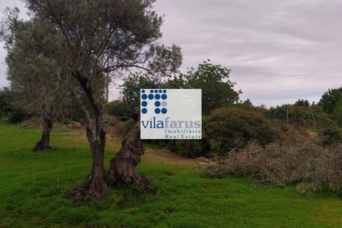 Helårsgrund i Faro, Faro, Faro - € 59.000 | Ref: TER4994 - foto 11