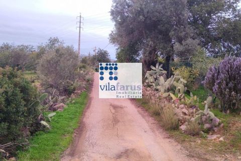 Helårsgrund i Faro, Faro, Faro - € 59.000 | Ref: TER4994 - foto 12