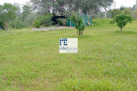 Helårsgrund i Faro, Faro, Faro - € 59.000 | Ref: TER4994 - foto 13
