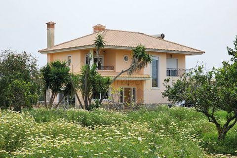 Villa i Faro, Faro, Faro - € 655.000 | Ref: M93R - foto 2