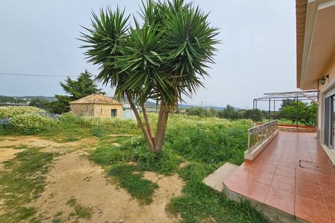 Villa i Faro, Faro, Faro - € 655.000 | Ref: M93R - foto 19