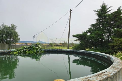 Villa i Faro, Faro, Faro - € 655.000 | Ref: M93R - foto 37