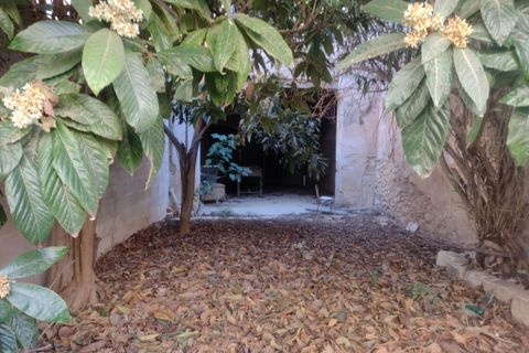 Byhus i Pinoso, Alicante, Pinoso - € 150.000 | Ref: CF2965 - foto 42