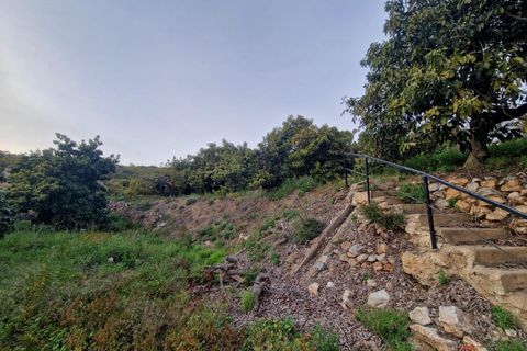 Finca i Itrabo, Granada, Itrabo - € 286.000 | Ref: M547 - foto 6