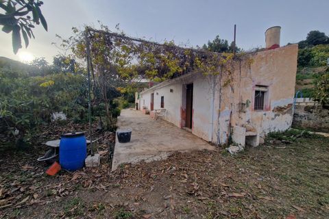 Finca i Itrabo, Granada, Itrabo - € 286.000 | Ref: M547 - foto 7