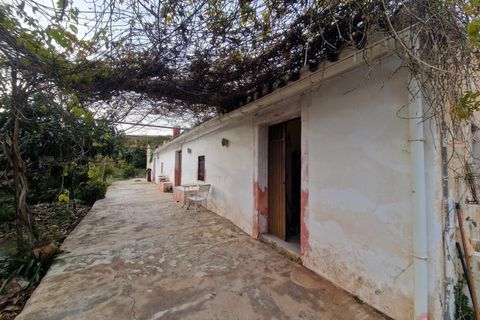 Finca i Itrabo, Granada, Itrabo - € 286.000 | Ref: M547 - foto 8