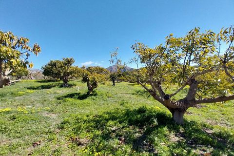Finca i Salobrena, Granada, Salobrena - € 270.000 | Ref: MP545 - foto 8