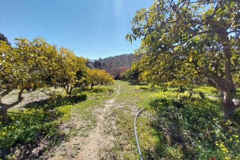 Finca i Salobrena, Granada, Salobrena - € 270.000 | Ref: MP545 - foto 11
