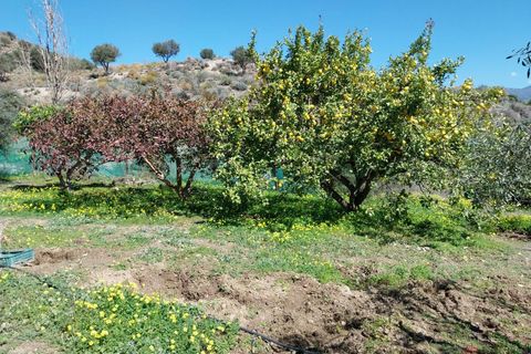 Finca i Salobrena, Granada, Salobrena - € 270.000 | Ref: MP545 - foto 12