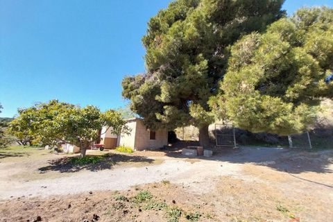 Finca i Salobrena, Granada, Salobrena - € 270.000 | Ref: MP545 - foto 13
