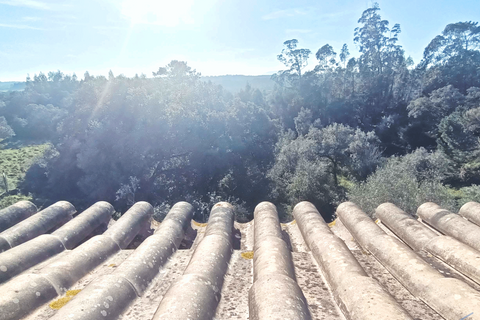 Villa i Tomar, Santarem, Tomar - € 450.000 | Ref: VCP325 - foto 9