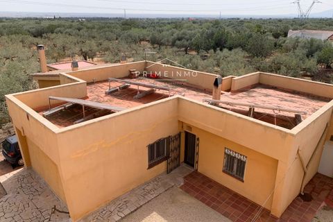 Villa i Camarles, Tarragona, Camarles - € 621.000 | Ref: 1097 - foto 31