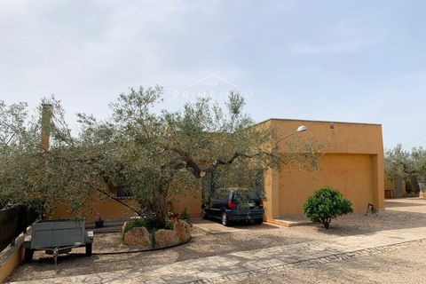 Villa i Camarles, Tarragona, Camarles - € 621.000 | Ref: 1097 - foto 32