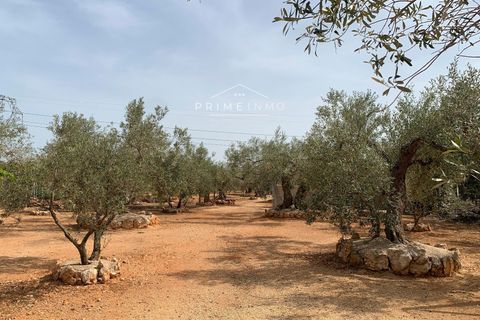 Villa i Camarles, Tarragona, Camarles - € 621.000 | Ref: 1097 - foto 49