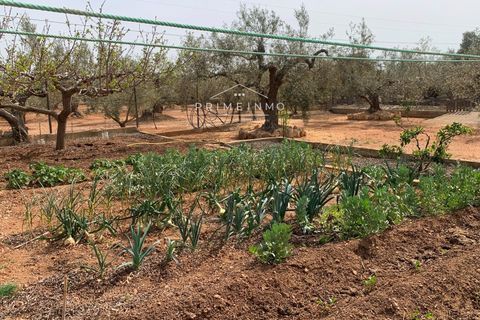 Villa i Camarles, Tarragona, Camarles - € 621.000 | Ref: 1097 - foto 50