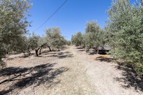 Landejendom i Montefrio, Granada, Montefrio - € 790.000 | Ref: GR2651/8251 - foto 38