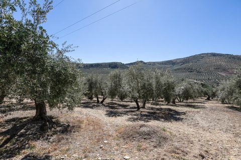 Landejendom i Montefrio, Granada, Montefrio - € 790.000 | Ref: GR2651/8251 - foto 39