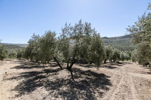 Landejendom i Montefrio, Granada, Montefrio - € 790.000 | Ref: GR2651/8251 - foto 40