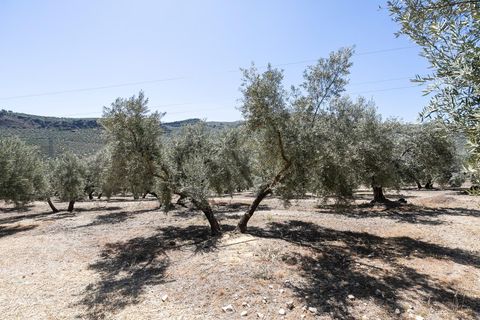 Landejendom i Montefrio, Granada, Montefrio - € 790.000 | Ref: GR2651/8251 - foto 41