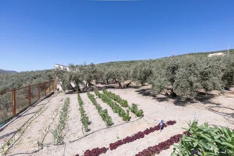 Landejendom i Montefrio, Granada, Montefrio - € 790.000 | Ref: GR2651/8251 - foto 42
