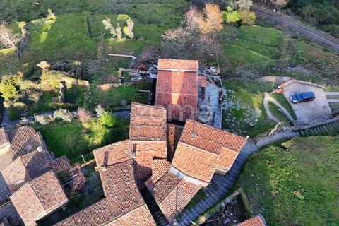 Farm i Lousa, Coimbra, Lousa - € 425.000 | Ref: ZMPT565538 - foto 36