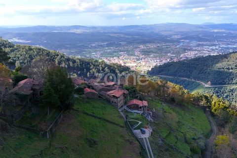 Farm i Lousa, Coimbra, Lousa - € 425.000 | Ref: ZMPT565538 - foto 37