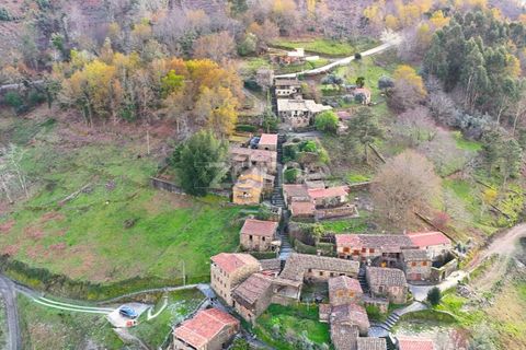 Farm i Lousa, Coimbra, Lousa - € 425.000 | Ref: ZMPT565538 - foto 3
