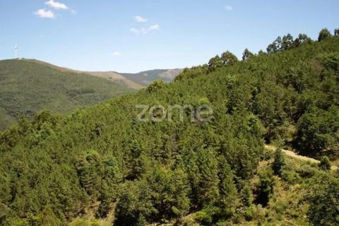 Farm i Lousa, Coimbra, Lousa - € 425.000 | Ref: ZMPT565538 - foto 26