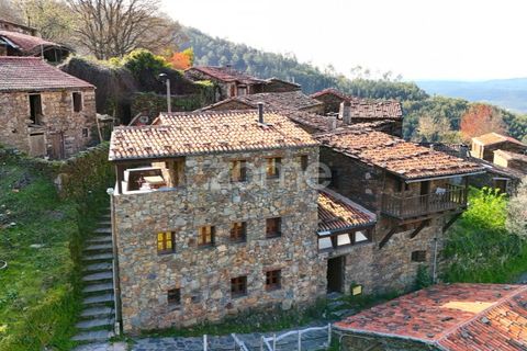 Farm i Lousa, Coimbra, Lousa - € 425.000 | Ref: ZMPT565538 - foto 35