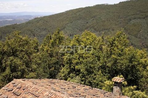 Farm i Lousa, Coimbra, Lousa - € 425.000 | Ref: ZMPT565538 - foto 22