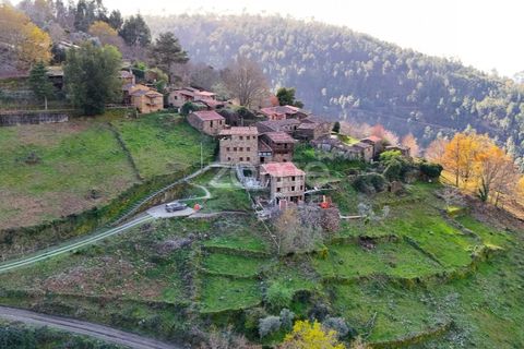 Farm i Lousa, Coimbra, Lousa - € 425.000 | Ref: ZMPT565538 - foto 32