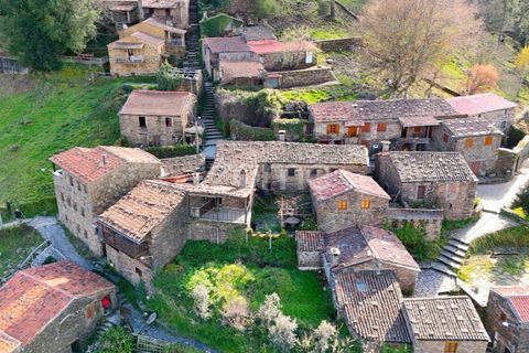 Farm i Lousa, Coimbra, Lousa - € 425.000 | Ref: ZMPT565538 - foto 34