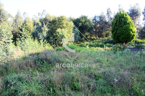 Helårsgrund i Ponte da Barca, Viana do Castelo, Ponte da Barca - € 30.000 | Ref: AV4938 - foto 11