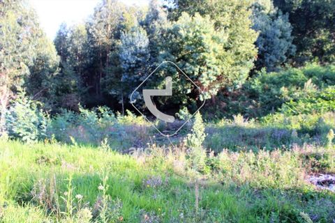 Helårsgrund i Ponte da Barca, Viana do Castelo, Ponte da Barca - € 30.000 | Ref: AV4938 - foto 14