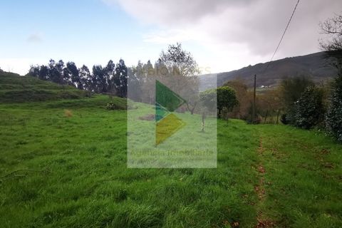 Villa i Gondufe, Viana do Castelo, Gondufe - € 215.000 | Ref: PTL-016-001 - foto 14